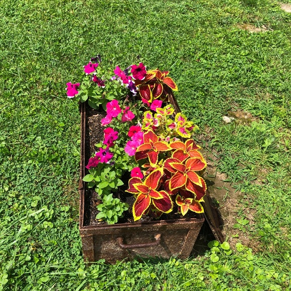 Meet your Posher, Lele - Picture 1 of 1